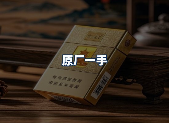 专业团队办公环境